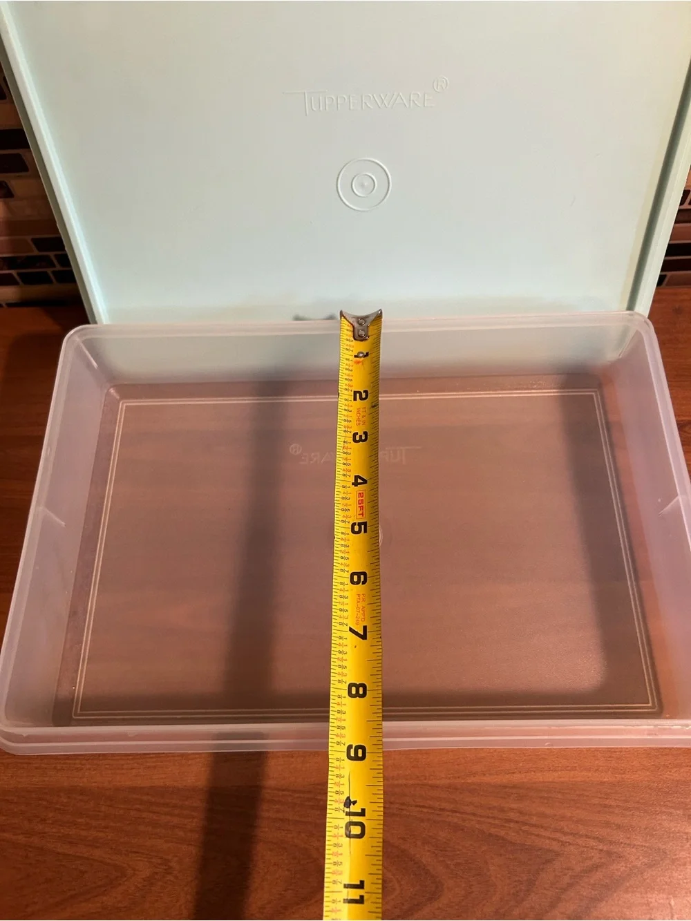 Tupperware Mint Green Lid with Clear Base Food Storage Container